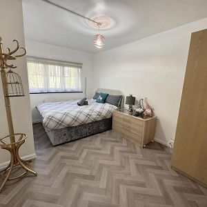 Kamer met een King Size Bed